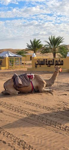 Al Kamil Other | AL hawiyah camp