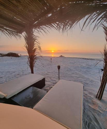 Al Qarin Other | Beach Moments Camp