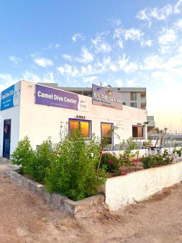 Aqaba Hotel | Camel Dive Club By The Sea Inn