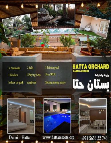 Hatta House | Hatta Orchard