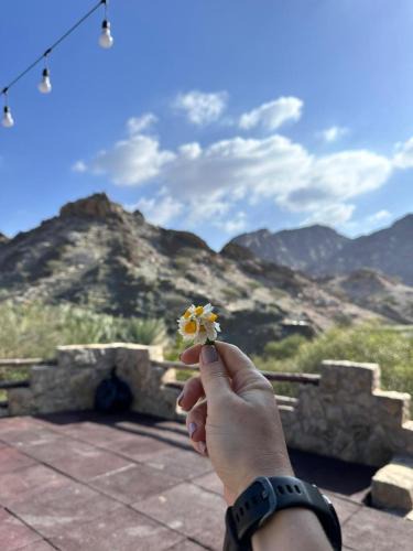Al Kubus Other | Hiking break