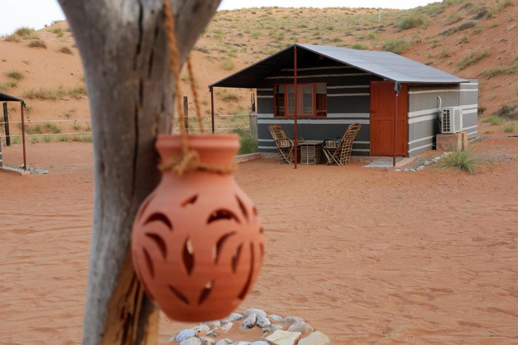 Al Wasil Other | Sand Delight Camp