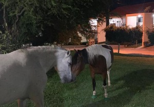 Monte Castelo - Flat in Bezerros