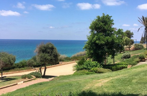 Netanya Hotel | מלון מדיטרה בוטיק - כשר למהדרין נתניה