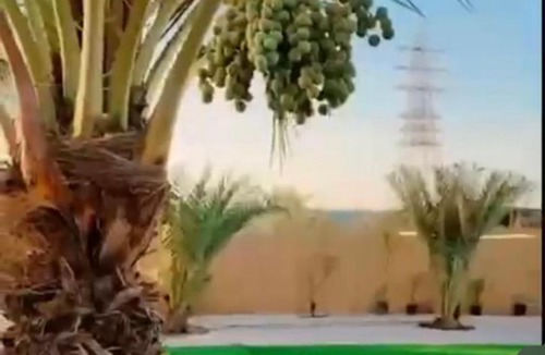 Ras Al Khaimah House | استراحة سلطان Sultan's Rest