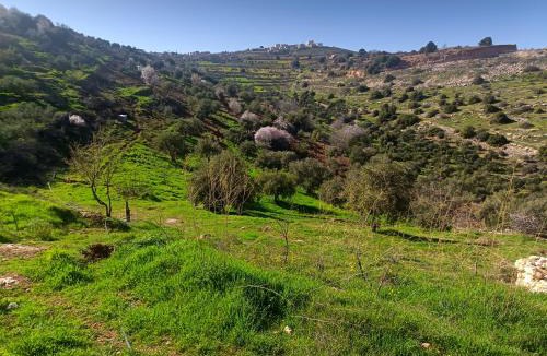 Ajloun Governorate House | بيت
