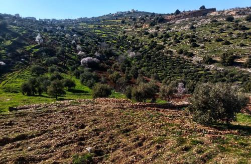 Ajloun Governorate House | بيت