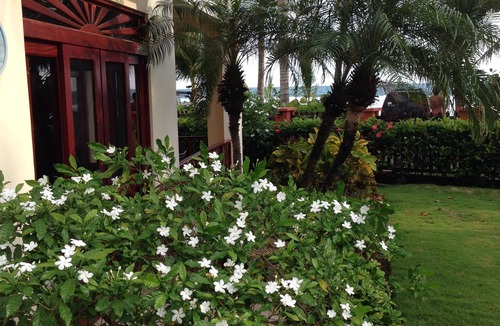 Jaco Condo | Beach Front W/beautiful Ocean View Deluxe 2 Beds,2 Baths Condo In Jaco Beach