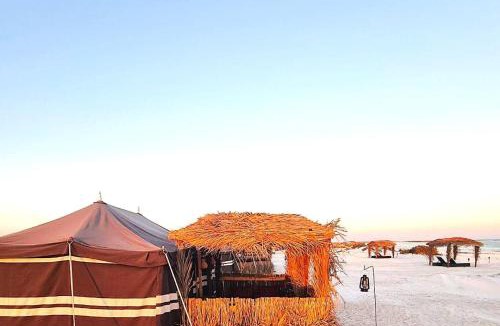 Al Qarin Other | Beach Moments Camp