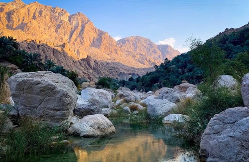 Al Wasil Hotel | Bedouin Nighets Camp