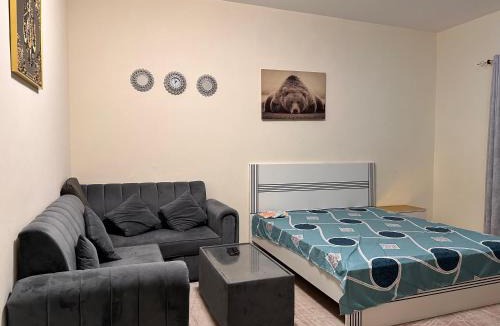 Ajman Apartment | City view furnished room