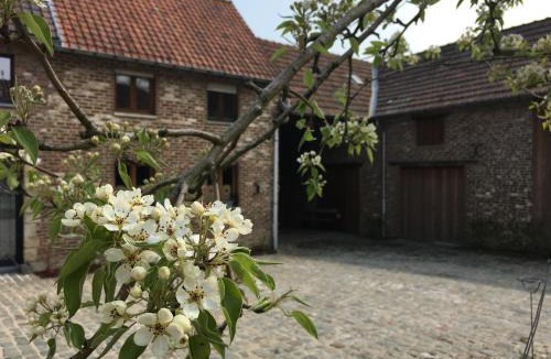 Borsbeke House | Constantinus
