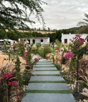 Liwa Resort | Damas Resort