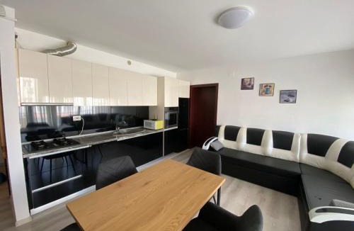 Emanoil Gojdu Apartment | Dulcinea Life