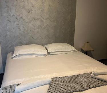 Deva Hotel | Pensiunea Dacia Deva