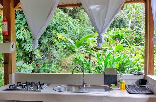 Cocles House | Rainforest glamping experience with private plunge pool in jungle garden