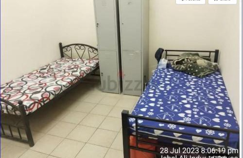 Jebel Ali Apartment | Studio Flat in AWS only Bachelor no family no children