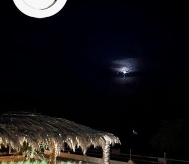 Al Ain House | The Palme Resort