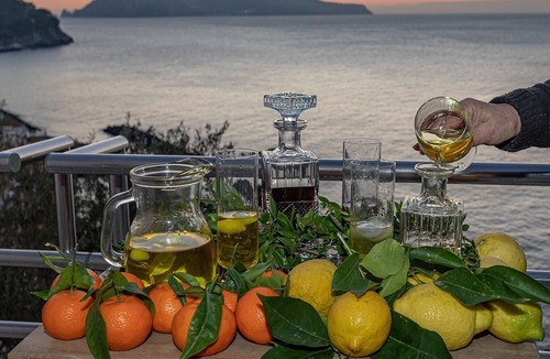 Massa Lubrense Villa | Villa Silvana-AmalfiCoast Panoramic villa with large garden and swimmingpool