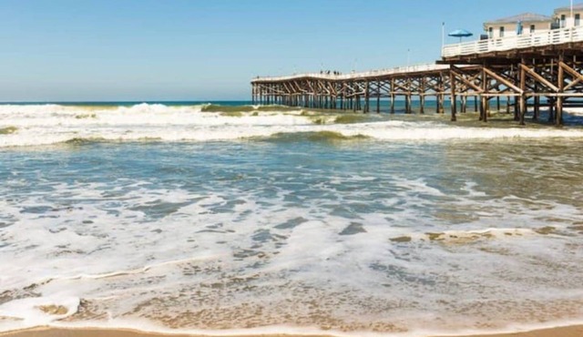 Adorable Private Studio- Walk To Beach and Brunch! in San Diego