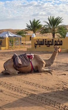 AL hawiyah camp