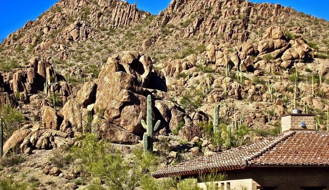 Authentic Tucson Experience: Mud Adobe Casita Nestled in Canyon Among Wildlife in Tucson