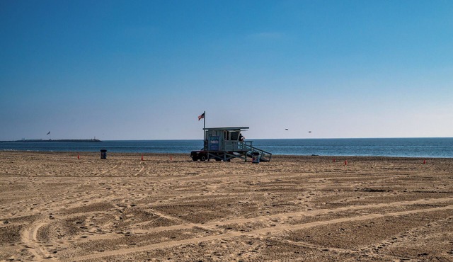 Beach Lover's Bliss 2 Blocks to Ocean in Venice: In-Unit Washer/Dryer+Parking in Venice