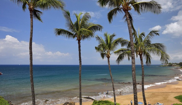 Beachfront Condo E 303/Incredible views/Pickleball/Great Snorkeling in Kihei
