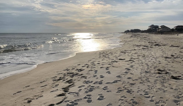 Beautiful St.George Island pool home, large patio pool surround & fire pit area. in Saint George Island
