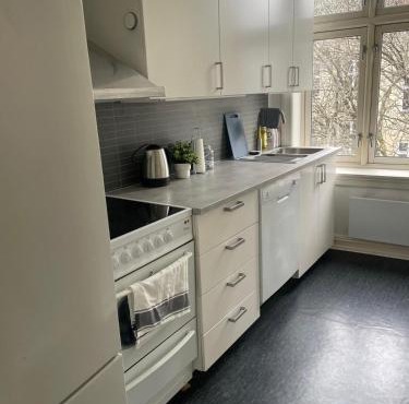 Big and Nice apartment in Oslo City center in Oslo