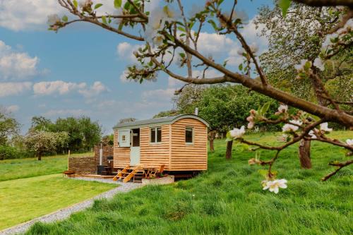 Bramley Hut Allerford in Bossington