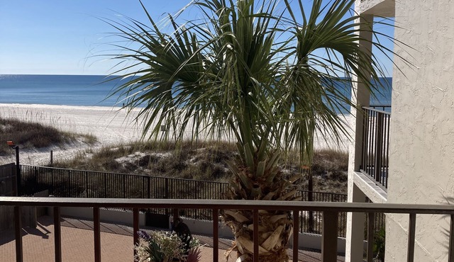 Budget Friendly, Ocean Front, Golf, Restaurants. in Panama City Beach