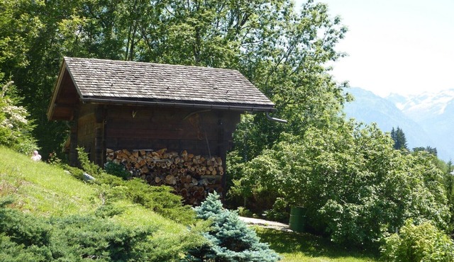 Chalet with exceptional view of Mont Blanc! in PASSY