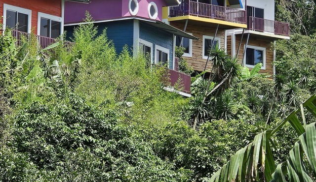 Charming chalet with WiFi in Poas. Great trails, and pools