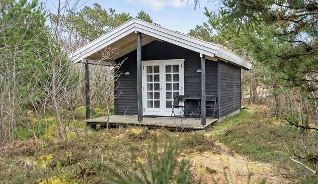 Charming forest cabin in Ringkøbing