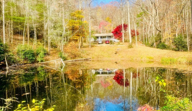 Come relax at Duck Pond Mountain Retreat w/stream & pond on 9 acres in Marion