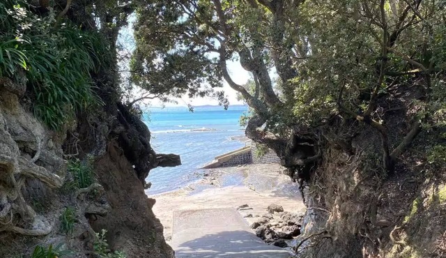 Cove side Bliss
