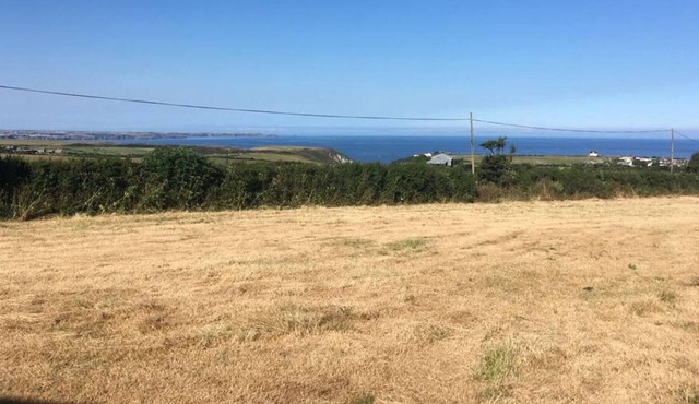 Daffodil Field Private Hire Camp Site in Tintagel