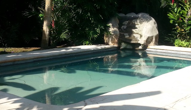 Eco Friendly Spacious Caribbean House with private pool.