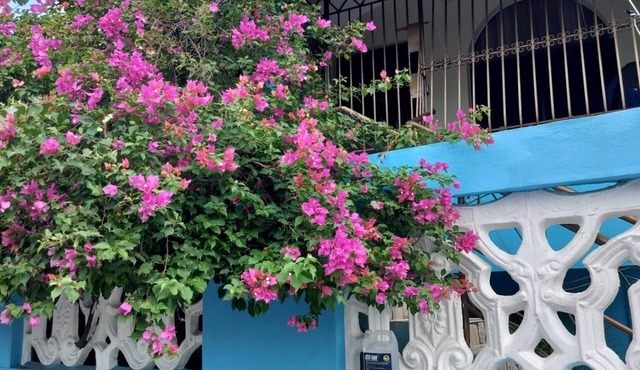 Eliana Rose in Santo Domingo Este
