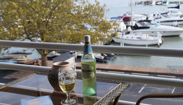 >Exceptional Updated Condo w Waterfront Views All Rooms-Walk to Town, Ferry< in Port Clinton