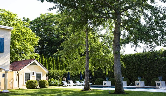 Fairy Tale Guest Cottage in Magic Garden by Pool in Bridgehampton