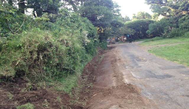 Farm in heredia with tons of forest and great hikes
