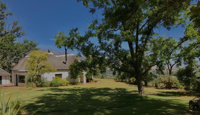 Fisaasbos in Tulbagh