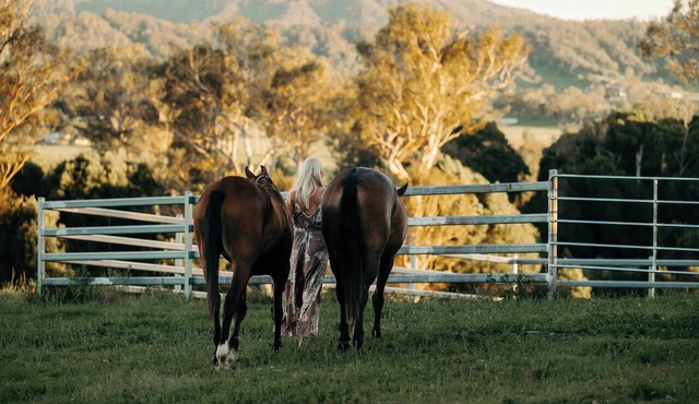 Frank's Place – Mid-Century Farmhouse & Horse Riders’ Haven in Fawcetts Plain