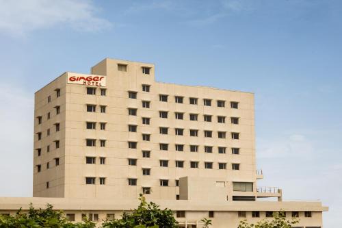 Ginger Vapi in Vapi