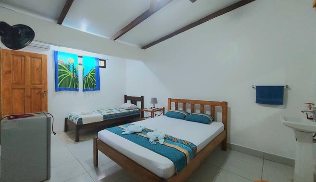 Habitación con Aire Acompañante + Tour por los Canales del Parque Nacional