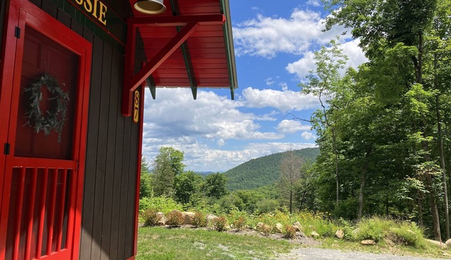 Handcrafted mountain cabin with gorgeous views in North River