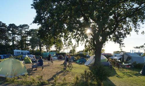 Hasle Camping (Empty Lots) in Hasle