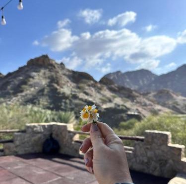 Hiking break